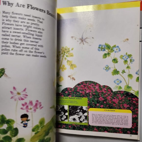 Flowers & Trees Child's First Library of Learning Hardcover Book Science Stem Ho - Picture 14 of 16